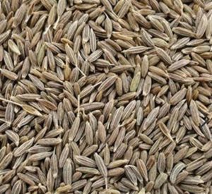 Jeera Seeds 70ml Tub