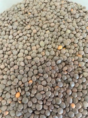 Masoor (Briyani Dhal) 1kg